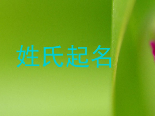 姓氏起名