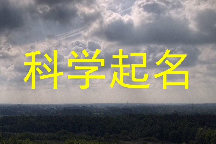 科学起名