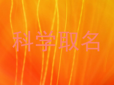 科学取名