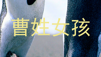 曹姓女孩