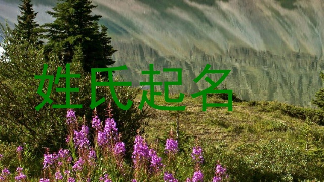 姓氏起名