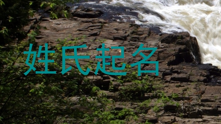 姓氏起名