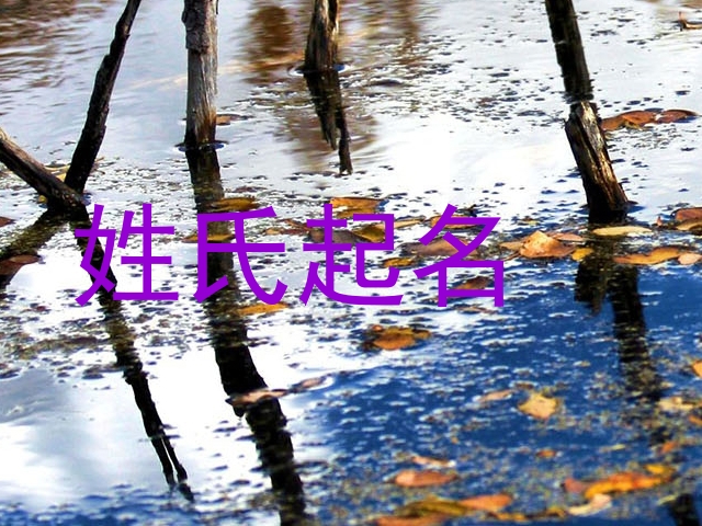 姓氏起名