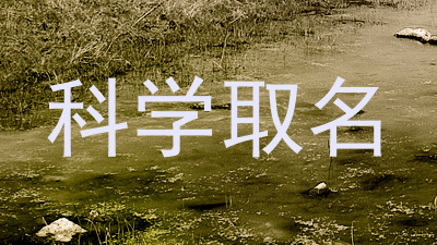 科学取名