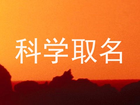 科学取名