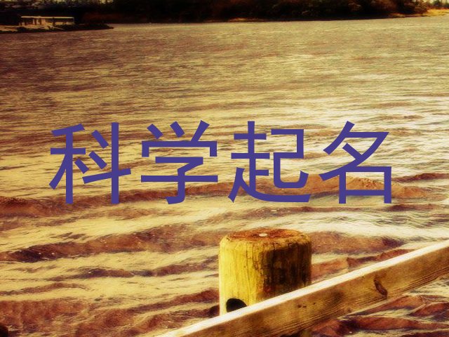 科学起名