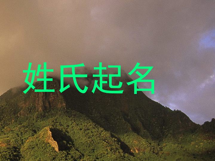 姓氏起名