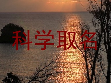 科学取名