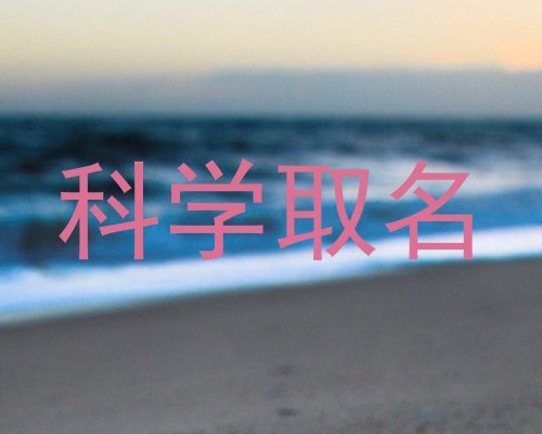 科学取名