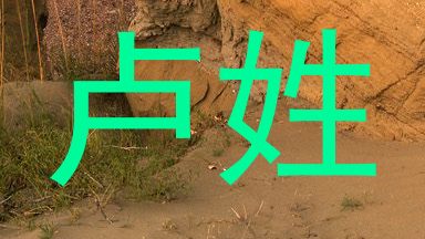 卢姓