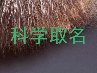 科学取名