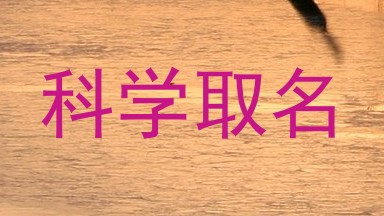 科学取名