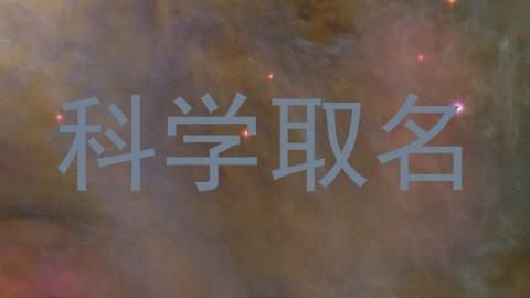 科学取名