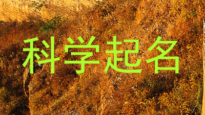 科学起名