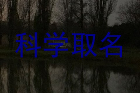 科学取名