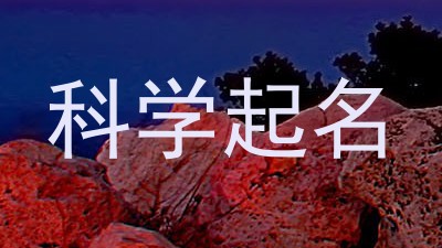 科学起名
