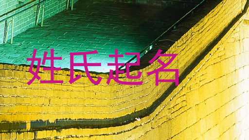 姓氏起名