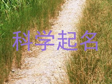 科学起名