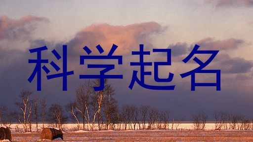 科学起名