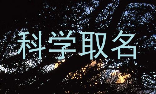 科学取名