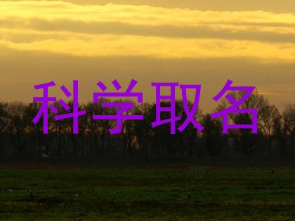科学取名