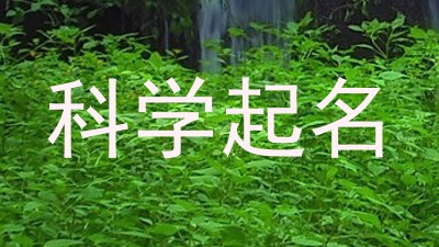 科学起名