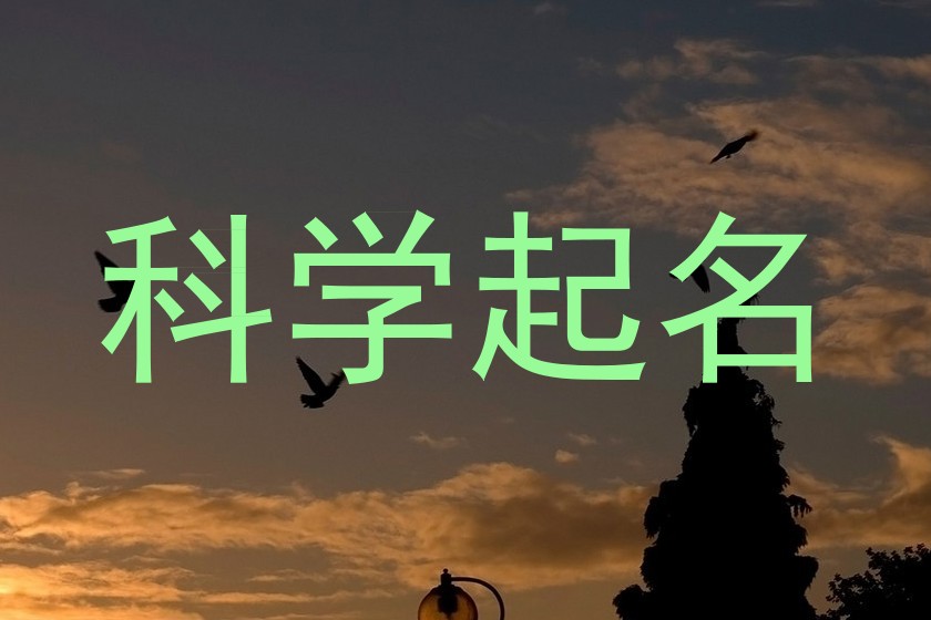 科学起名