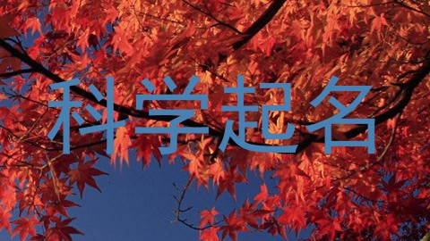 科学起名