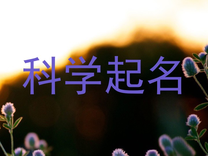 科学起名
