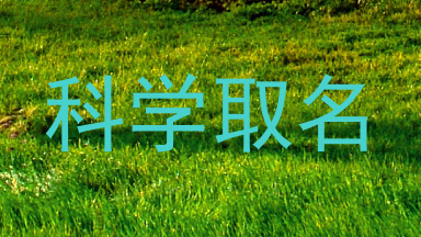 科学取名