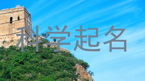 科学起名