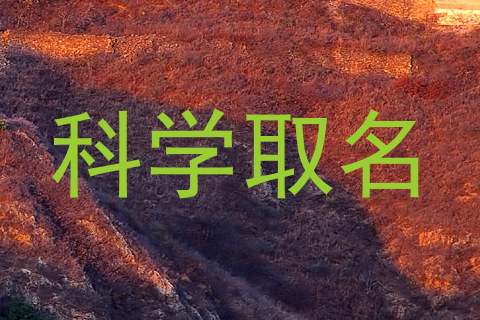 科学取名