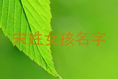宋姓女孩名字