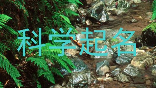 科学起名