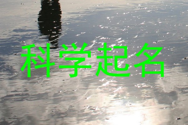 科学起名