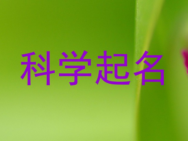 科学起名