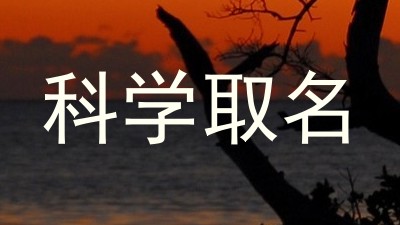 科学取名
