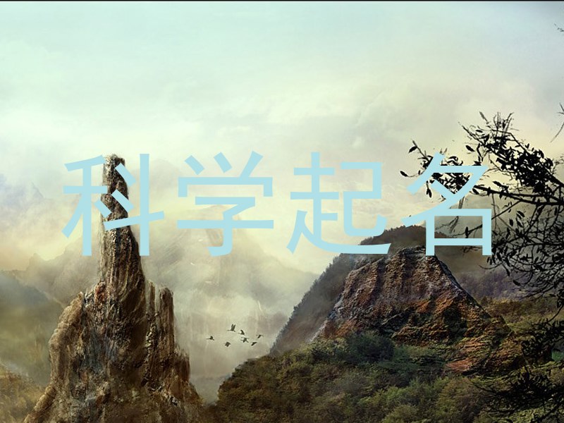 科学起名