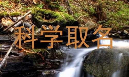 科学取名