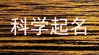 科学起名