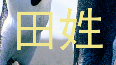 田姓