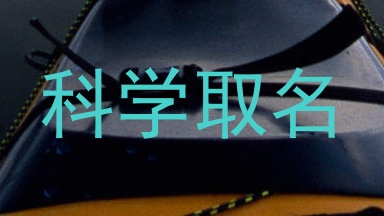 科学取名