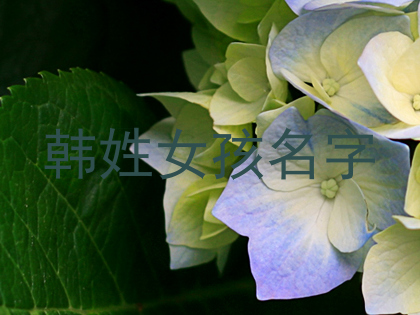 韩姓女孩名字