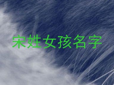 宋姓女孩名字