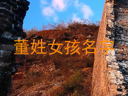 董姓女孩名字