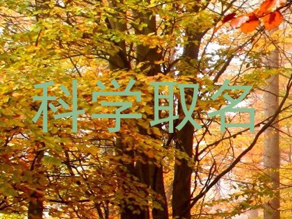 科学取名
