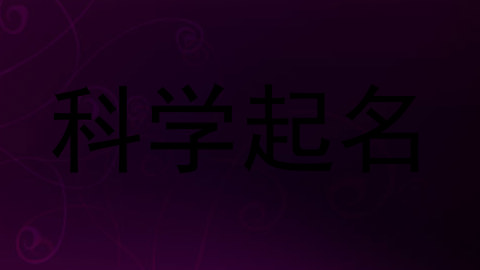 科学起名