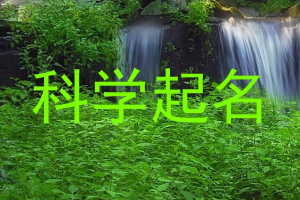 科学起名