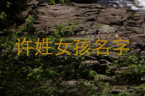 许姓女孩名字