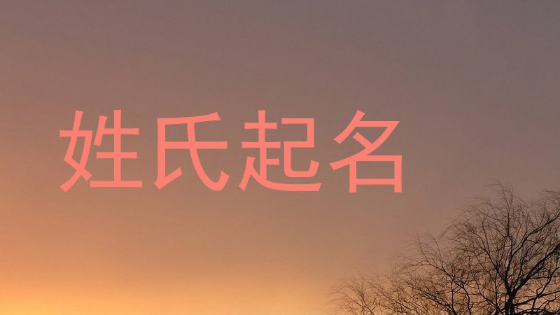 姓氏起名